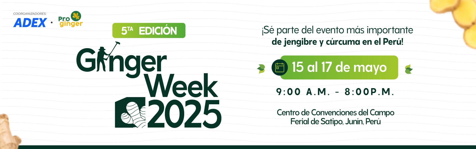GINGER WEEK